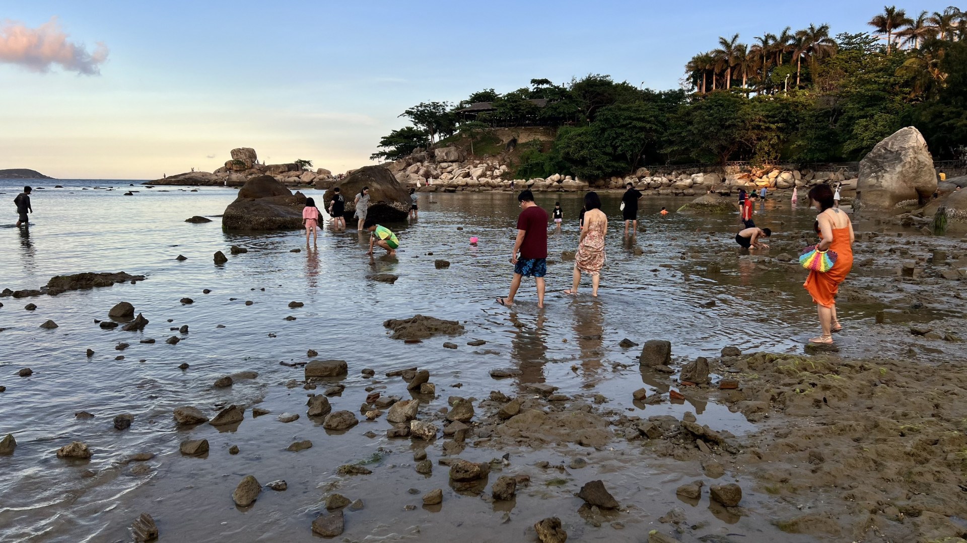 Ban quản lý vịnh Nha Trang:  Khuyến cáo người dân và du khách không gây ảnh hưởng đến san hô khu vực Hòn Chồng - Đặng Tất 