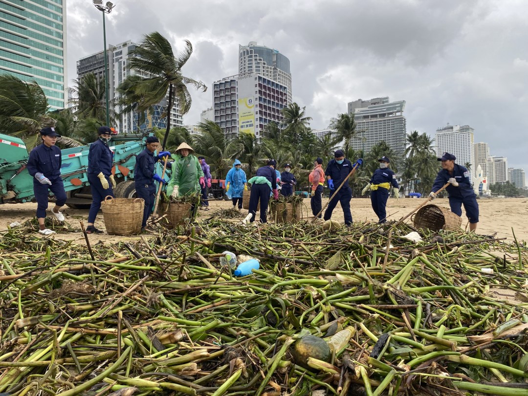 Thu gom rác sau mưa lũ ở bãi biển Nha Trang 