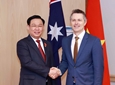         Thúc đẩy, mở rộng hợp tác giáo dục - đào tạo Việt Nam - Australia    