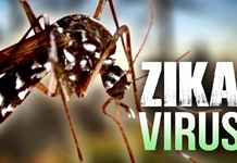 Điều chỉnh nhanh kế hoạch phòng, chống dịch Zika lên cấp độ 2