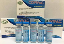 Chuẩn bị thử nghiệm Vaccine Covid-19 thứ 2 của Việt Nam với 125 người