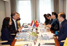 Việt Nam - Hà Lan đối tác kinh tế thương mại và đầu tư quan trọng của nhau