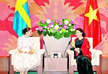Chủ tịch Quốc hội Nguyễn Thị Kim Ngân tiếp Công chúa Thụy Điển