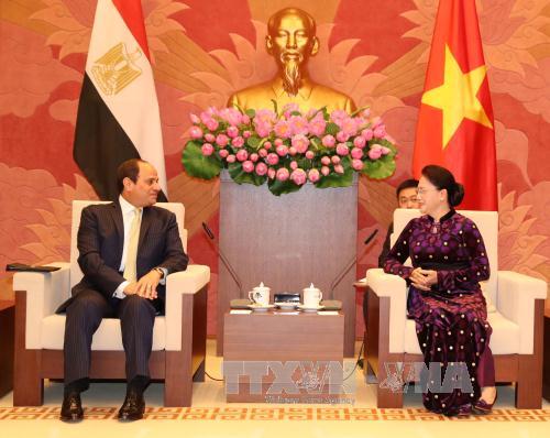Chủ tịch Quốc hội Nguyễn Thị Kim Ngân hội kiến Tổng thống Ai Cập