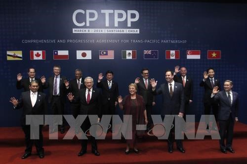 Bộ trưởng Trần Tuấn Anh: CPTPP tạo điều kiện cho Việt Nam tiếp tục hội nhập quốc tế ở mức độ mới