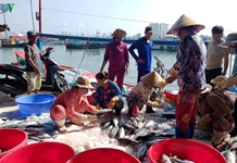 Ngư dân Khánh Hòa: Lệnh cấm đánh bắt cá của Trung Quốc là vô giá trị
