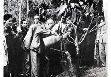 Kỷ niệm 89 năm Ngày thành lập Đảng (3-2-1930 - 3-2-2019) Bác Hồ với “Tết trồng cây” và “Tết trồng người”