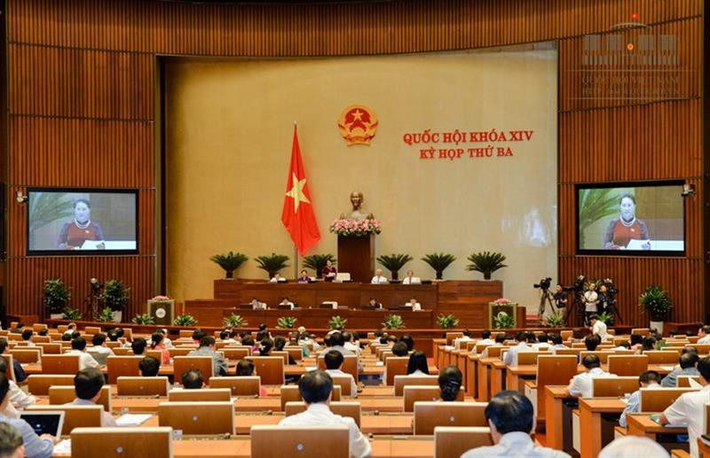 Chủ tịch Quốc hội Nguyễn Thị Kim Ngân: Vẫn còn nhiều tồn tại, hạn chế đối với ngành nông nghiệp và phát triển nông thôn