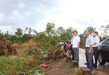 Kiểm tra công tác khắc phục hậu quả sau bão 12 tại Diên Khánh