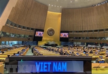'Việt Nam hoàn thành tốt trách nhiệm tại Hội đồng Bảo an năm 2020'