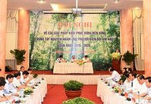 Thủ tướng: Kiên quyết đóng cửa rừng tự nhiên