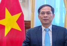 Việt Nam mong muốn tiếp tục nhận được sự hợp tác chặt chẽ của UNCTAD    