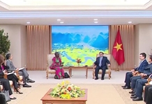         Thủ tướng Phạm Minh Chính tiếp Phó Tổng Giám đốc IMF phụ trách khu vực châu Á - Thái Bình Dương    