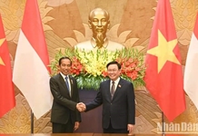 Việt Nam và Indonesia cùng hướng tới nâng quan hệ Đối tác chiến lược lên tầm mức mới