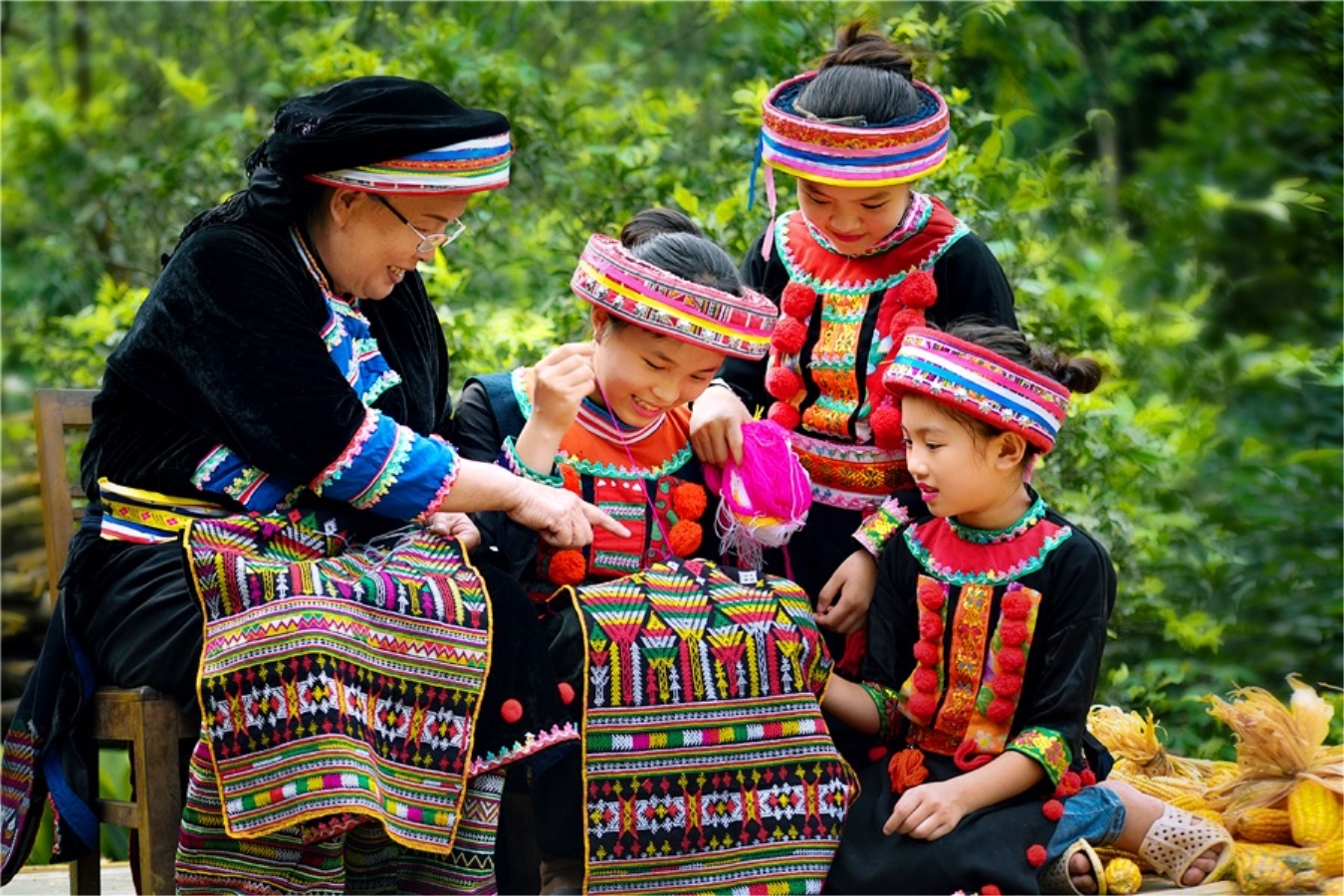 Phát triển văn hóa các dân tộc thiểu số trong chiến lược phát triển văn hóa Việt Nam 