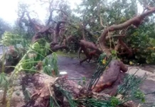 Bão số 9 gây nhiều thiệt hại trên các đảo ở Trường Sa
