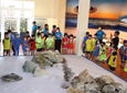 Bảo tàng Hải dương học: Khơi dậy tình yêu biển đảo