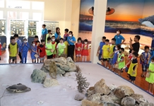 Bảo tàng Hải dương học: Khơi dậy tình yêu biển đảo