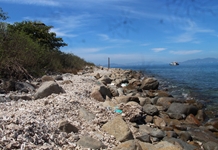 Hệ sinh thái rạn san hô vịnh Nha Trang: Đề xuất giải pháp tổng thể phục hồi