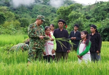 Giữ gìn và phát huy giá trị văn hóa quân sự Việt Nam